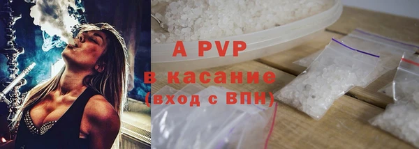 СК Алзамай