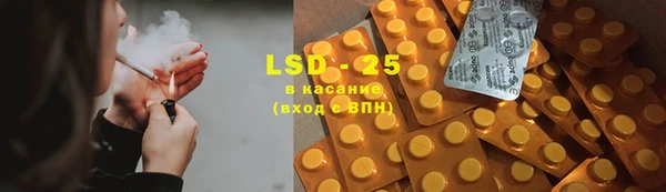 прущие грибы Алексин