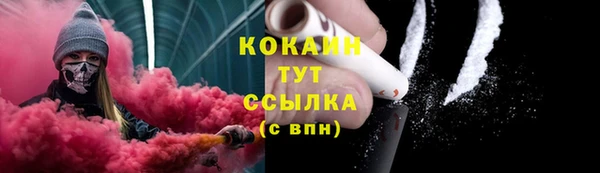 прущие грибы Алексин