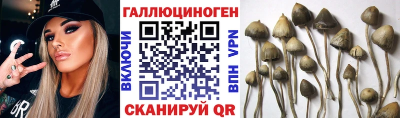 Псилоцибиновые грибы ЛСД  Петровск 